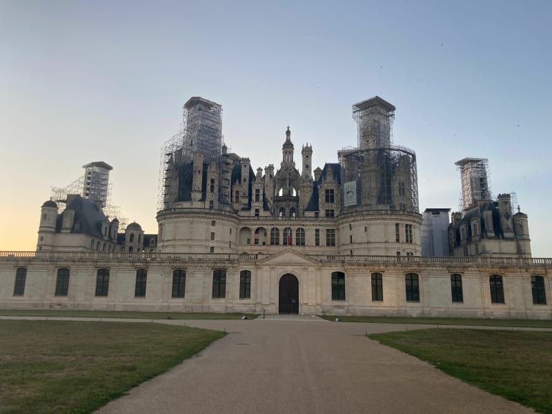 Balade à Chambord dans les bois, les vignes et ce beau château - Chambord
