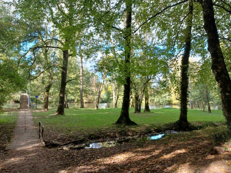 Entre chemins et forêts aux alentours de Vivonne - Aslonnes