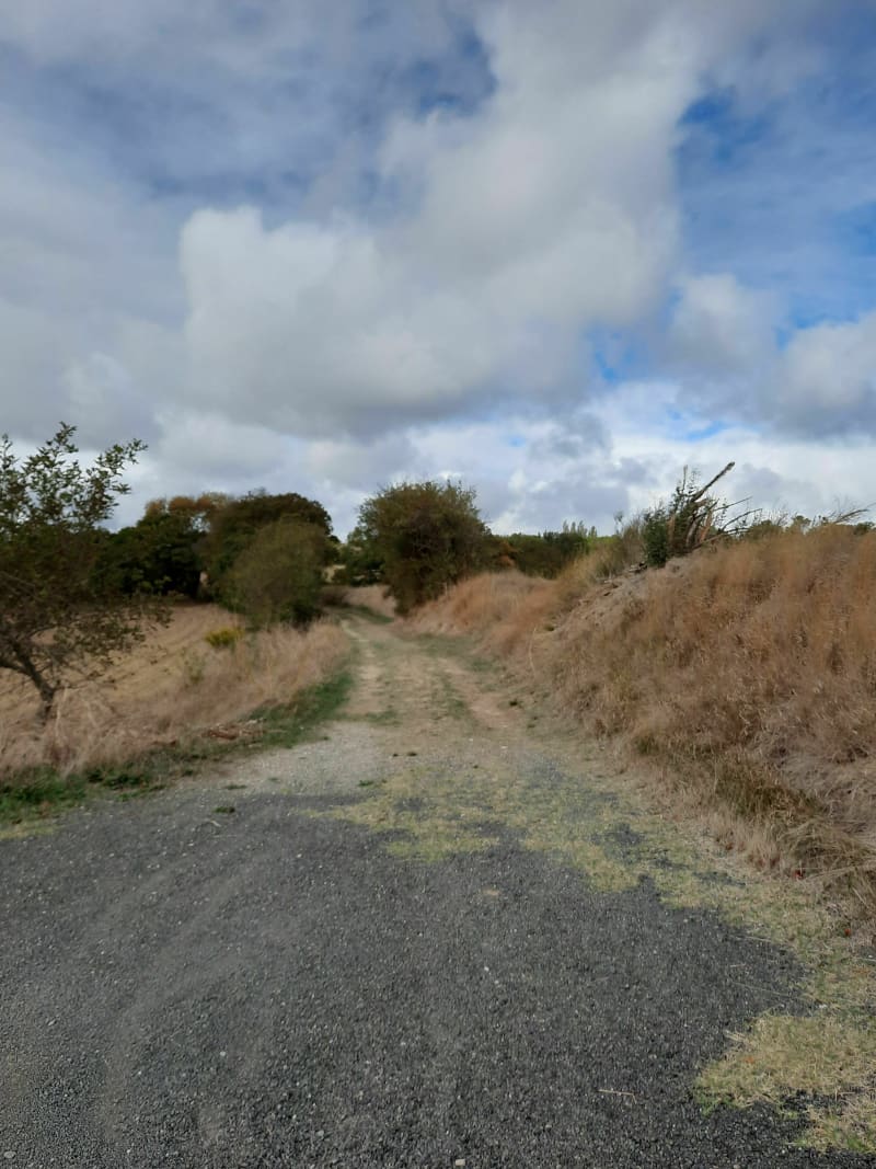 Marche à Villemoustaussou - Villemoustaussou