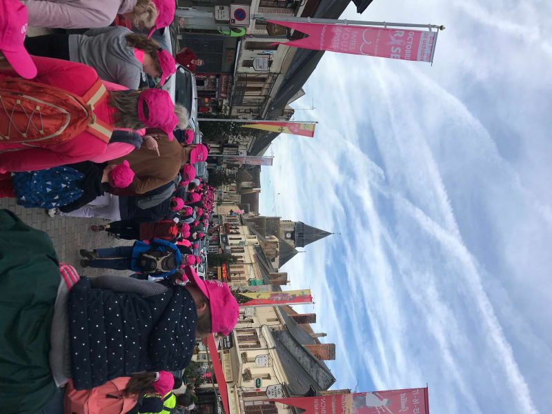Aubigny sur Nère habillé de rose - Aubigny-sur-Nère