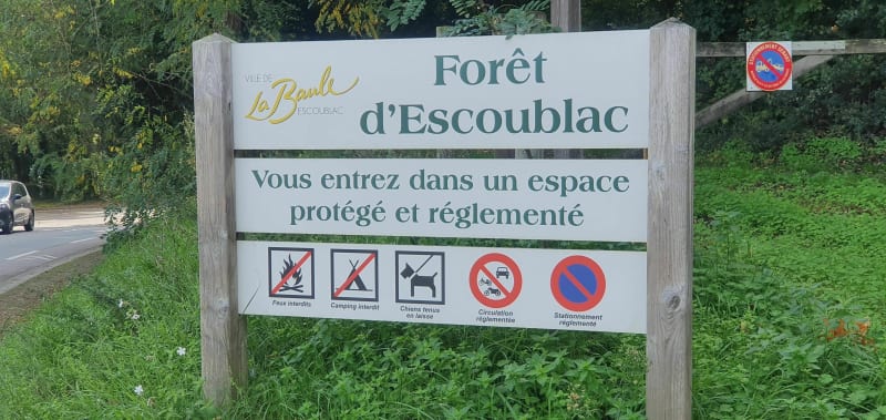 Forêt d'Escoublac à la Baule-les-Pins - La Baule-Escoublac