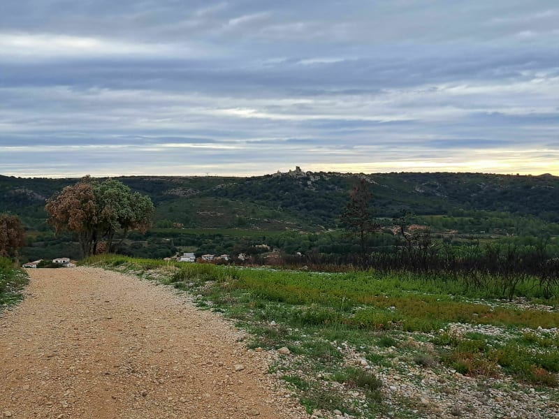 Balade autour de Saint-Bauzile-de-La Sylve - Saint-Bauzille-de-la-Sylve