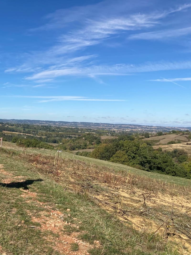 Colline du Néné - Saint-Christaud