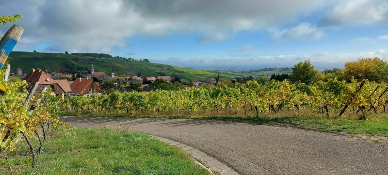 De Kientzheim à Riquewihr - Kaysersberg Vignoble