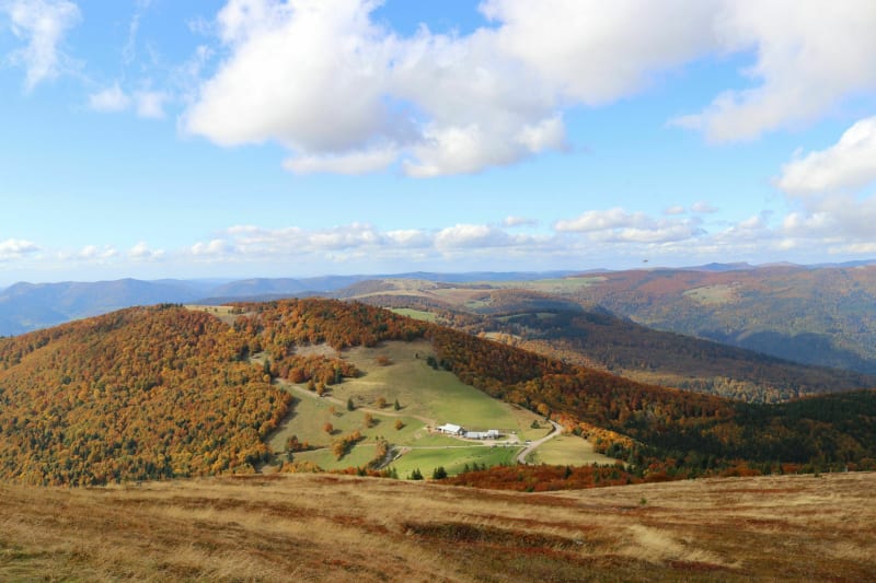 Sommet du Grand Ballon depuis Geishouse - Geishouse