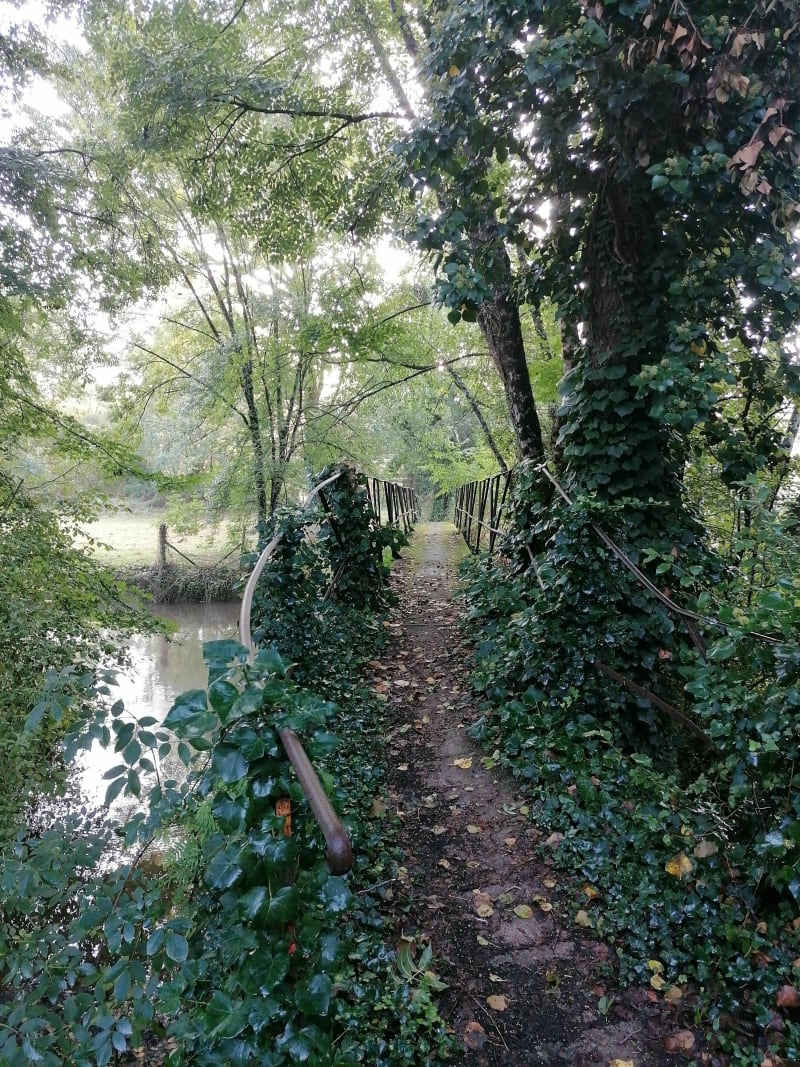 Randonnée du petit Lay - Saint-Prouant