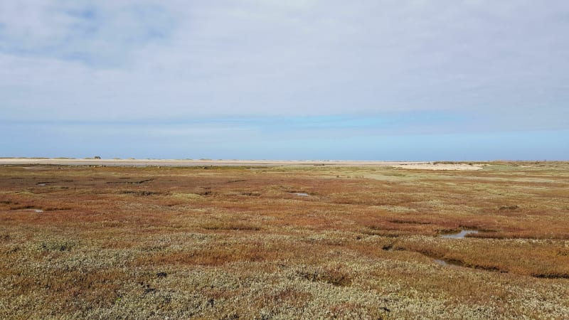 Balade à Pleubian et vue sur le sillon de Talbert - Pleubian