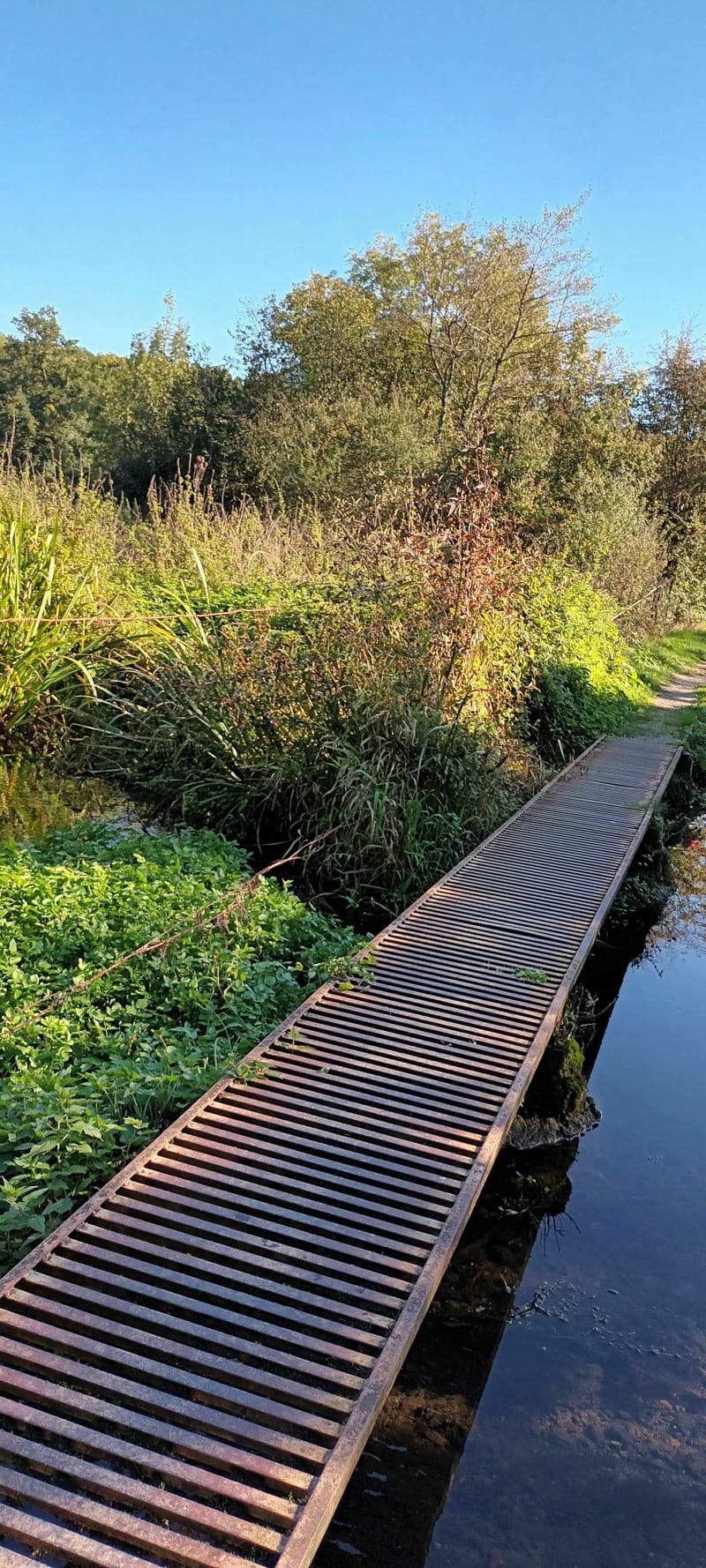 Moléans chemin de forêt, et petits passages. - Moléans