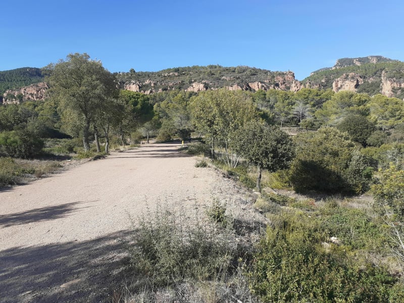 Vélo dans la forêt de la Lieutenante - Roquebrune-sur-Argens