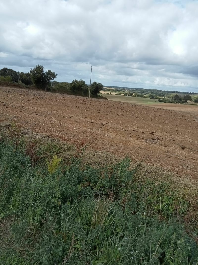 Sortie champêtre entre Saint-Brice et Souvigné - Bouessay