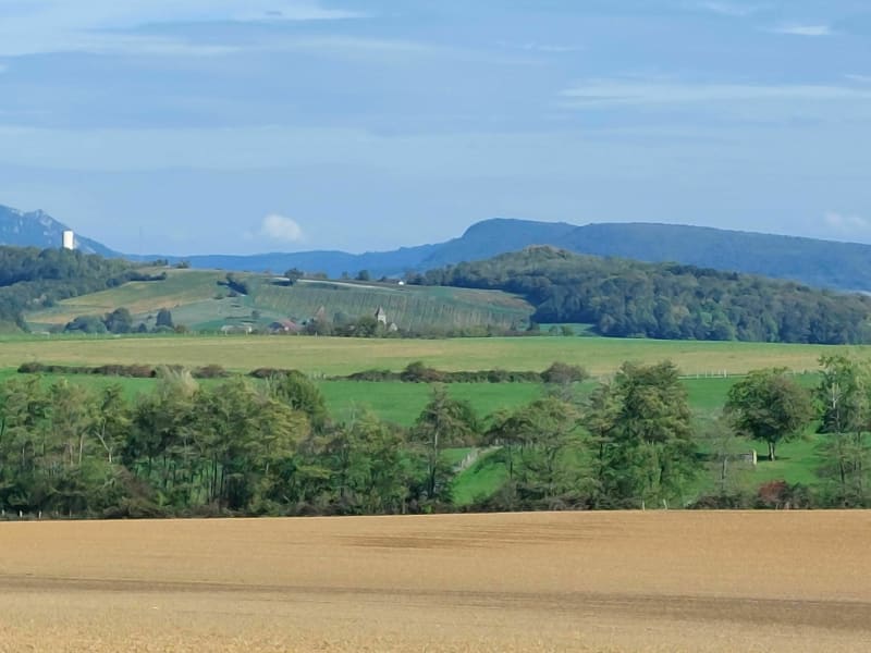 Boucle en Bas Jura et région Doloise - Abergement-la-Ronce