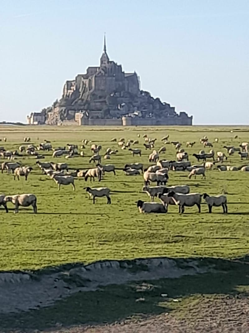 A vélo et à pied au Mont-Saint-Michel - Pontorson