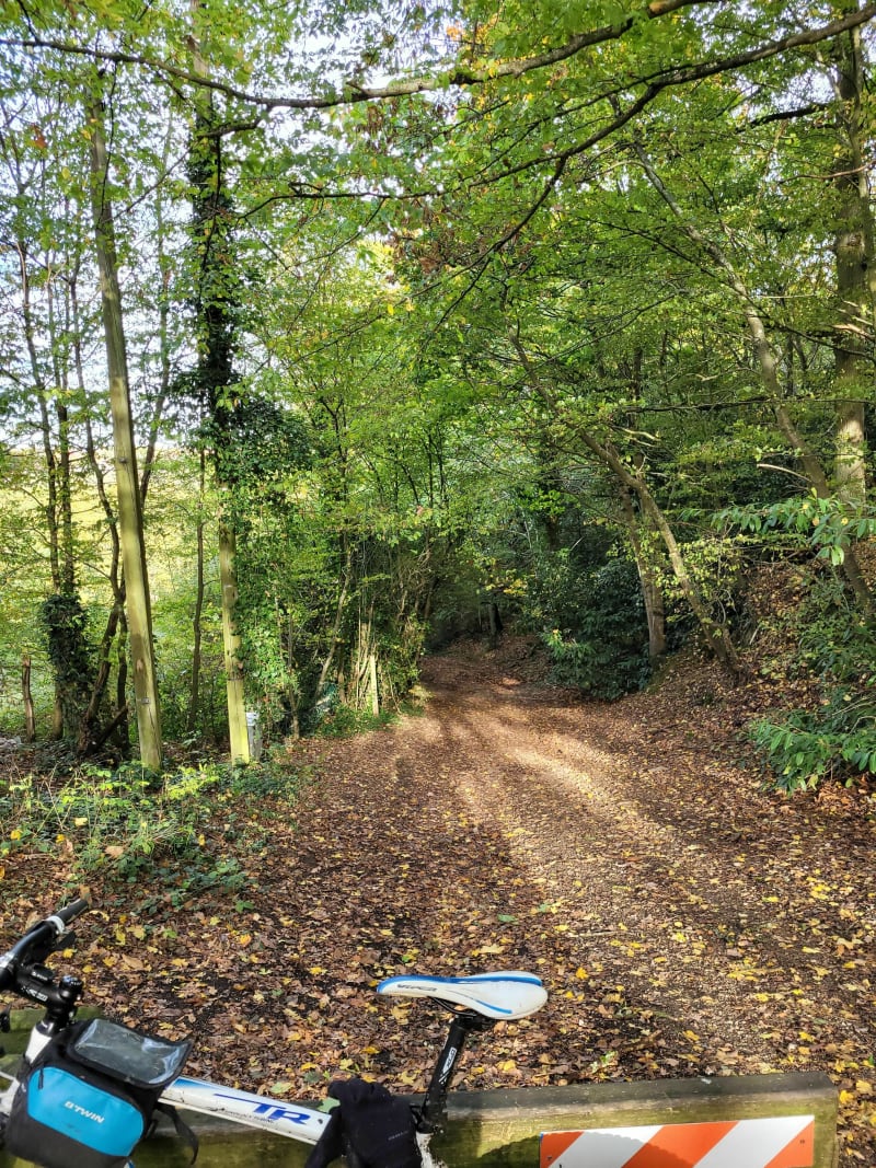 Single vtt autour de Port Royal - Magny-les-Hameaux