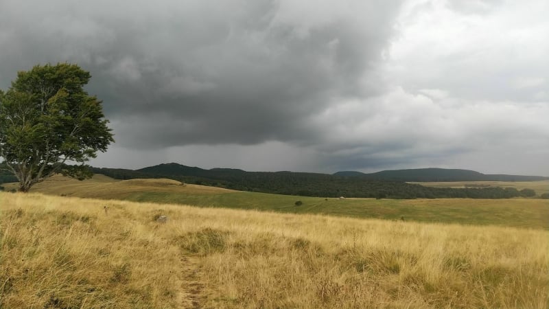 Balade dans la forêt de Montbert à proximité du lac Chauvet - Picherande