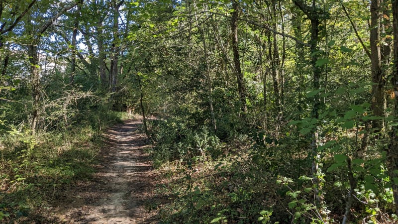 Forêt Eaunes - Muret