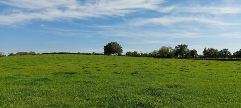 Petite balade autour de Trevol et d'Avermes à VTC - Moulins