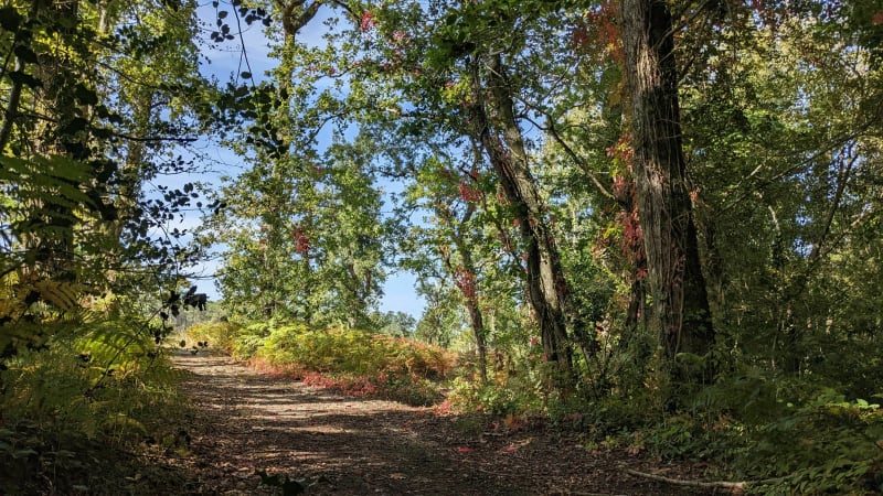 VTT singles autour de Labenne - Bénesse-Maremne