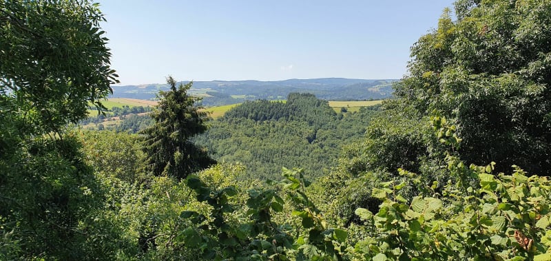 Balade familiale en forêt de Meudon - Meudon