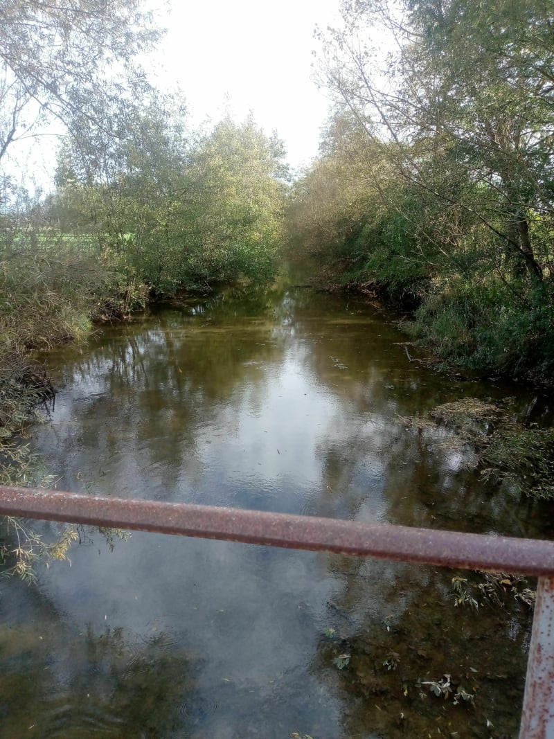 Rando peupleraie de Sens sur Seille Frangy en Bresse - Sens-sur-Seille
