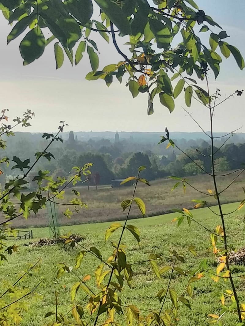 Sentier des vallons à Brissarthe - Les Hauts-d'Anjou