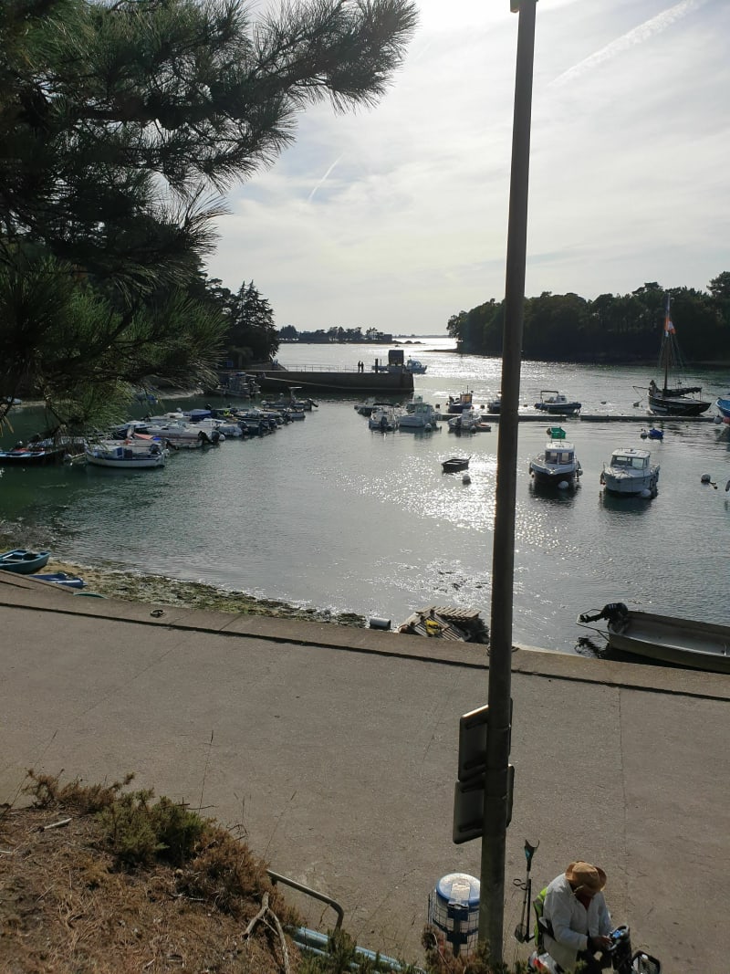 Randonnée au Port Anna - Séné