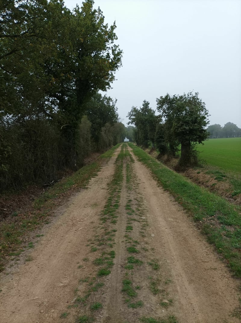 Campagne du Loroux vers Barbechat - Le Loroux-Bottereau