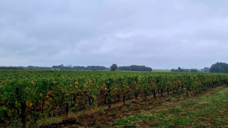 VILLEGOUGE en pleine nature (sud) - Villegouge