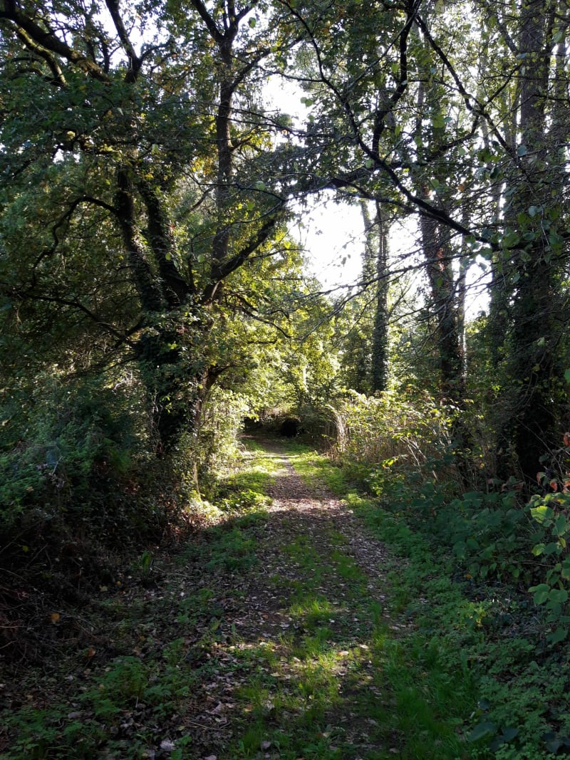 Rando sympa à Saint-André-sur-Sèvre - Saint-André-sur-Sèvre