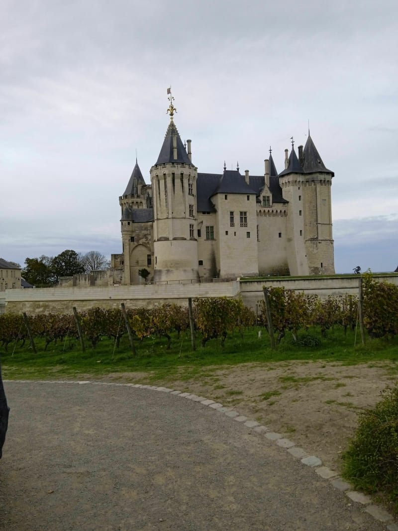 De Montsoreau à Saumur la Loire en vélo par les coteaux - Montsoreau
