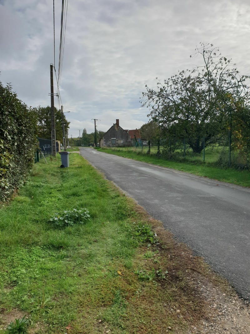 Balade sur Phages - Le Controis-en-Sologne