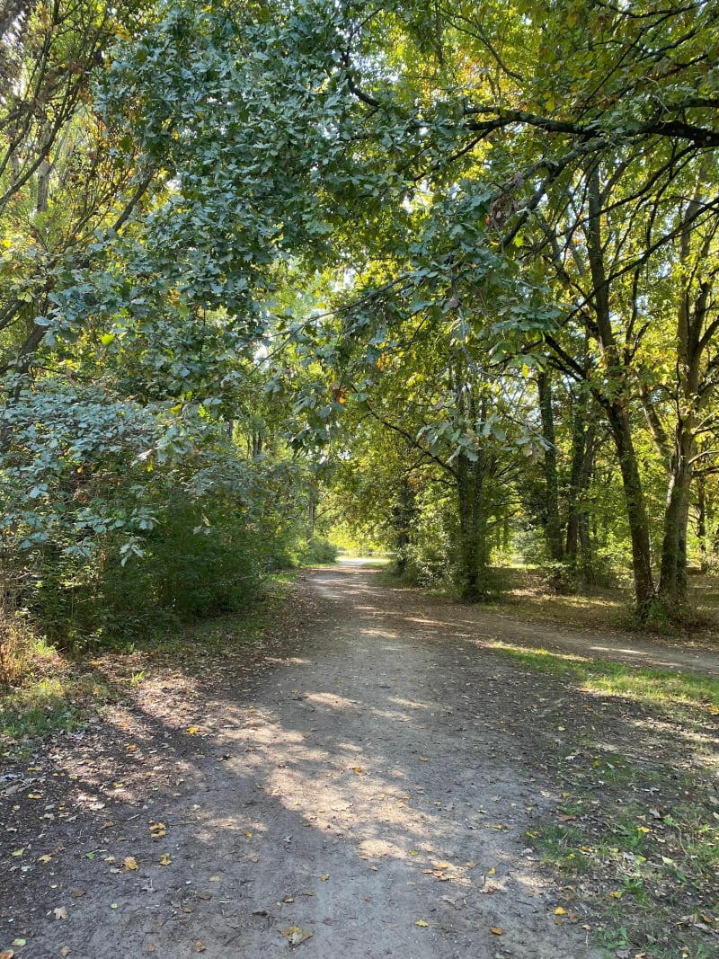 Balade du dimanche à l'Aussonnelle - Colomiers