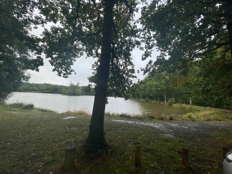 Boucle en forêt au départ du petit lac de Sillé - Sillé-le-Guillaume