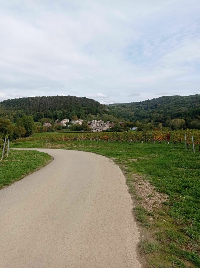 Rando des trois villages et le Bois de Charmontay - Jujurieux