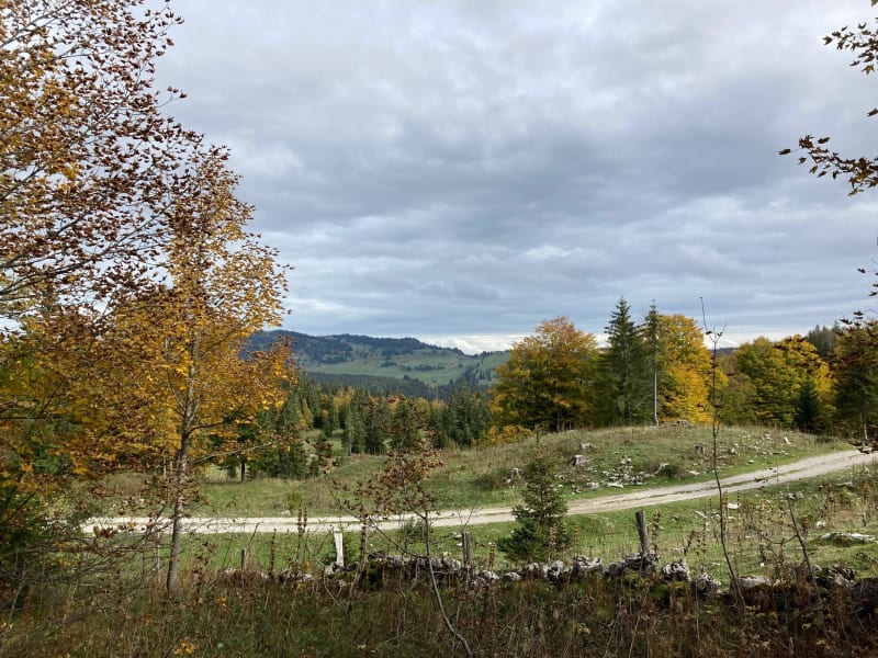 Moyenne boucle Combe à la Chèvre - Lajoux