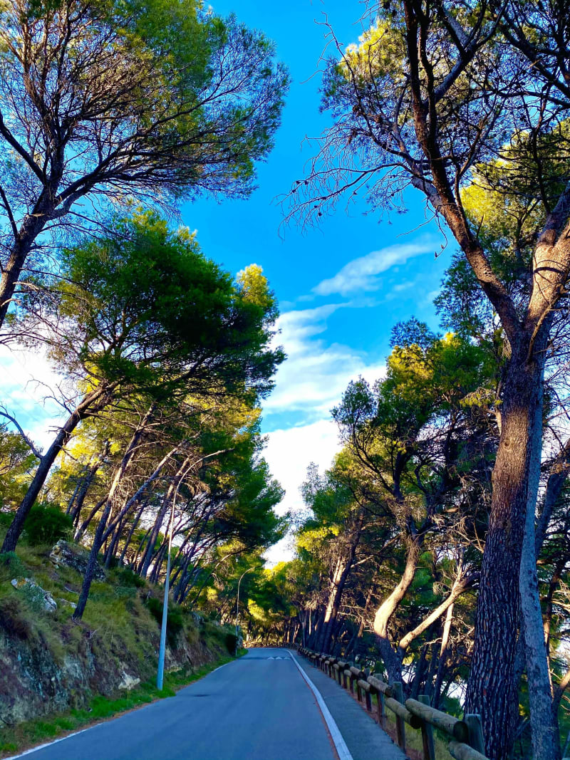 Balade du dimanche - Istres