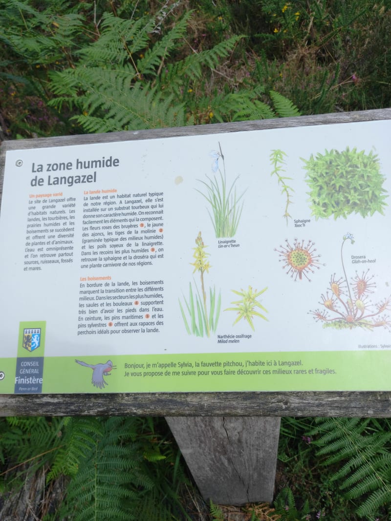 Zone Humide de Langazel - Trémaouézan