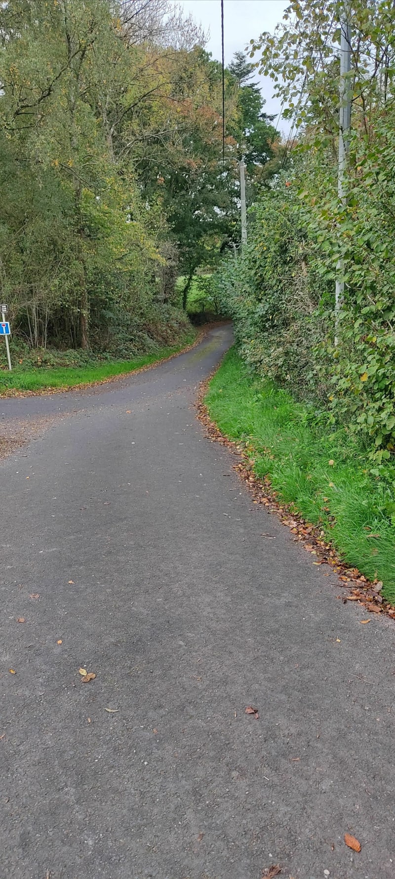 Balade tranquille sur les petites routes du Pays d'Auge à vélo - Valorbiquet