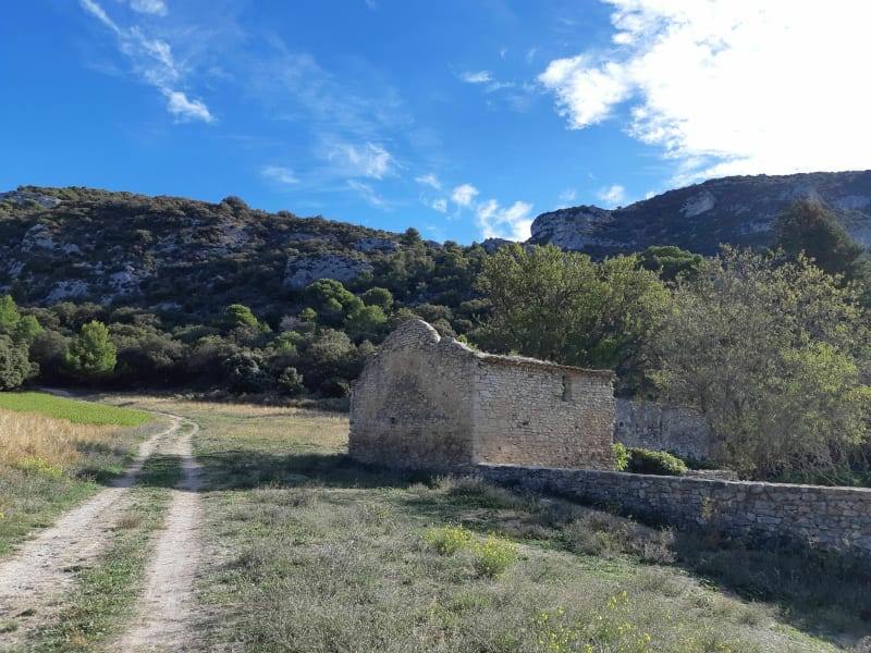 Petit trail au départ de Saumane - Saumane-de-Vaucluse