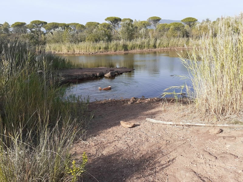 Petite reprise trail dans le canton de Palayson - Roquebrune-sur-Argens