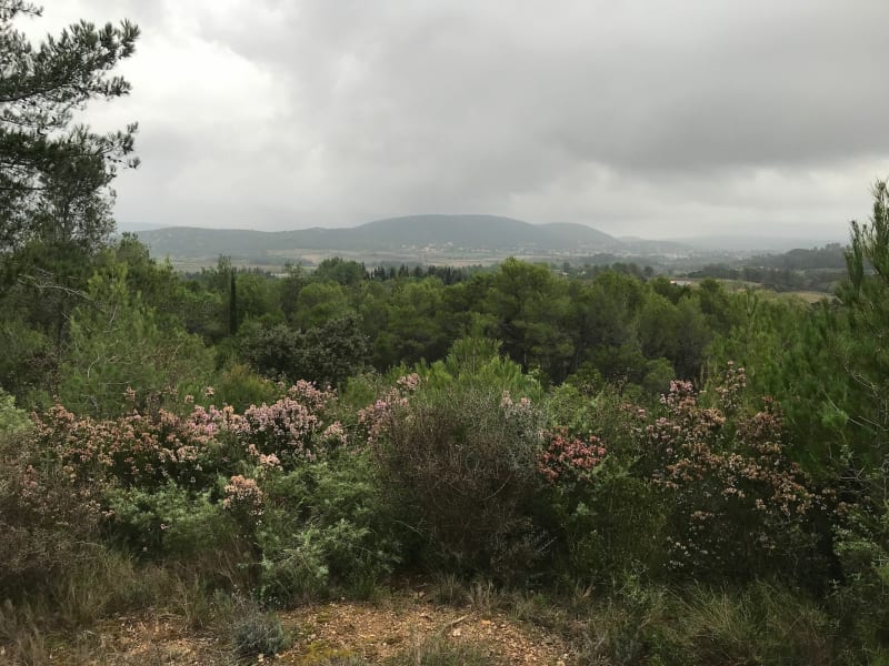 Sur les hauteurs de Montarnaud et le long de Bel-Air - Montarnaud