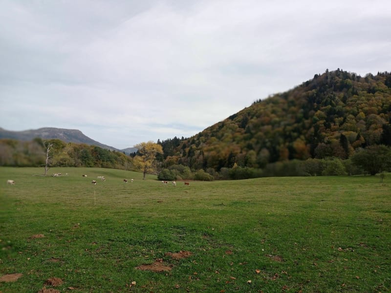La Bourboule (départ via chemin de la suchère) / La Stèle - La Tour-d'Auvergne