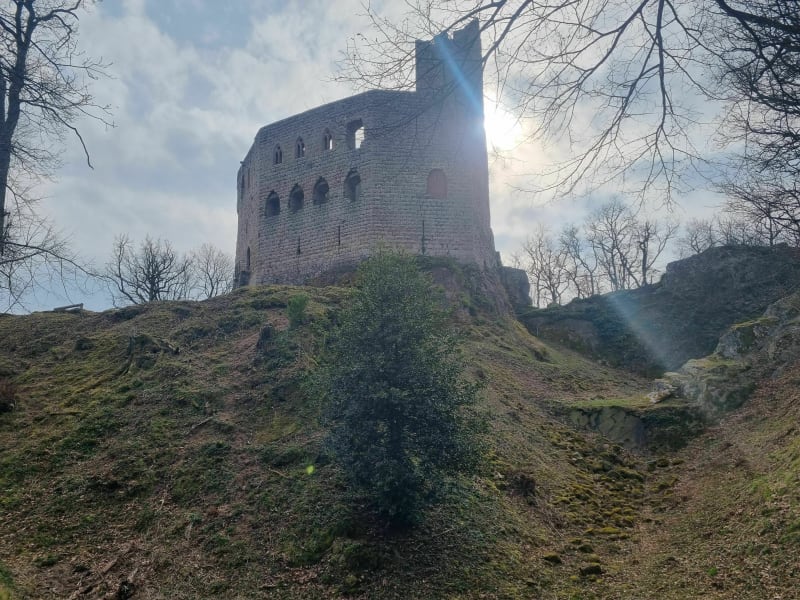 Châteaux d'Andlau et de Spesbourg - Andlau