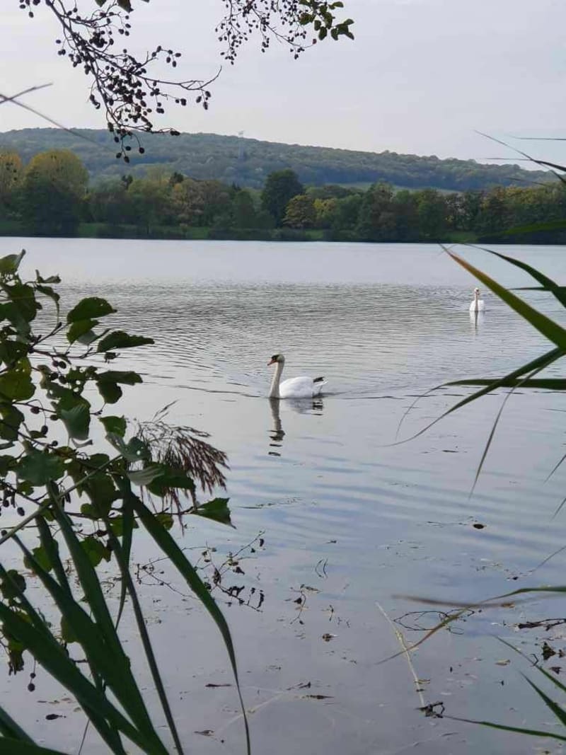 Balade au bord de l'eau à Flavigny-sur-Moselle - Flavigny-sur-Moselle