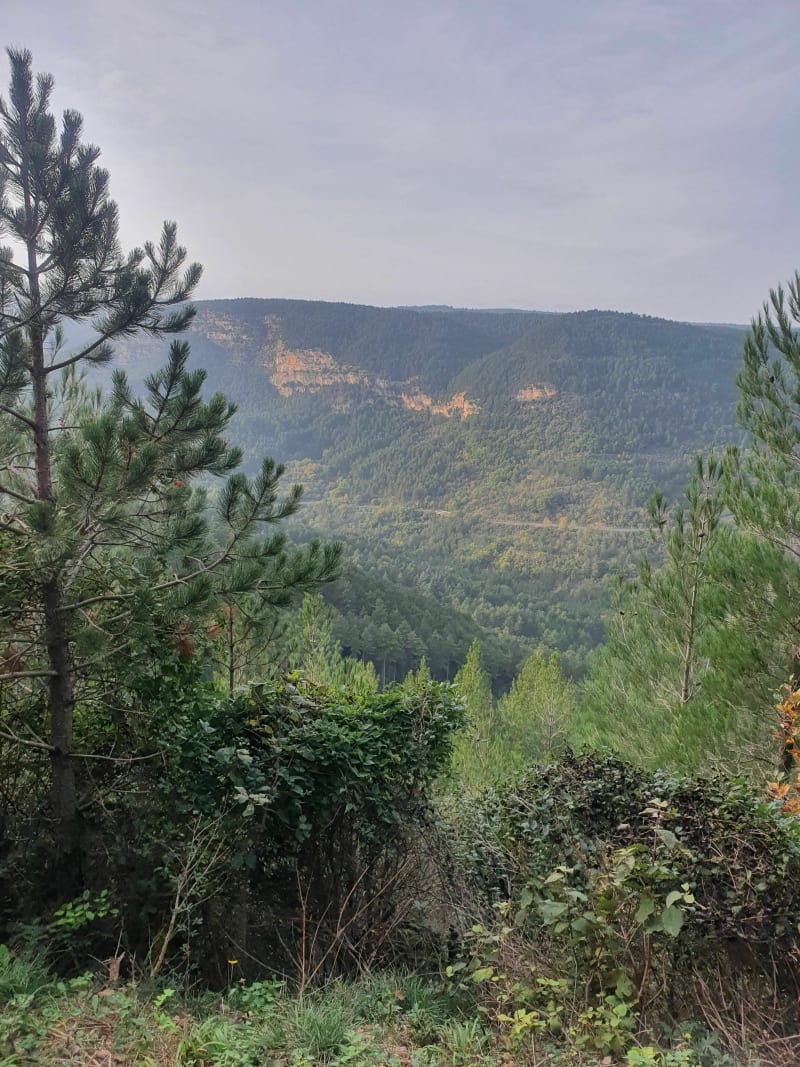 Sur les hauteurs de Parlatges - Saint-Pierre-de-la-Fage