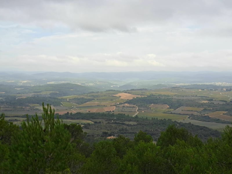 Le canal, les collines environnantes, et quelques singles - Sallèles-d'Aude