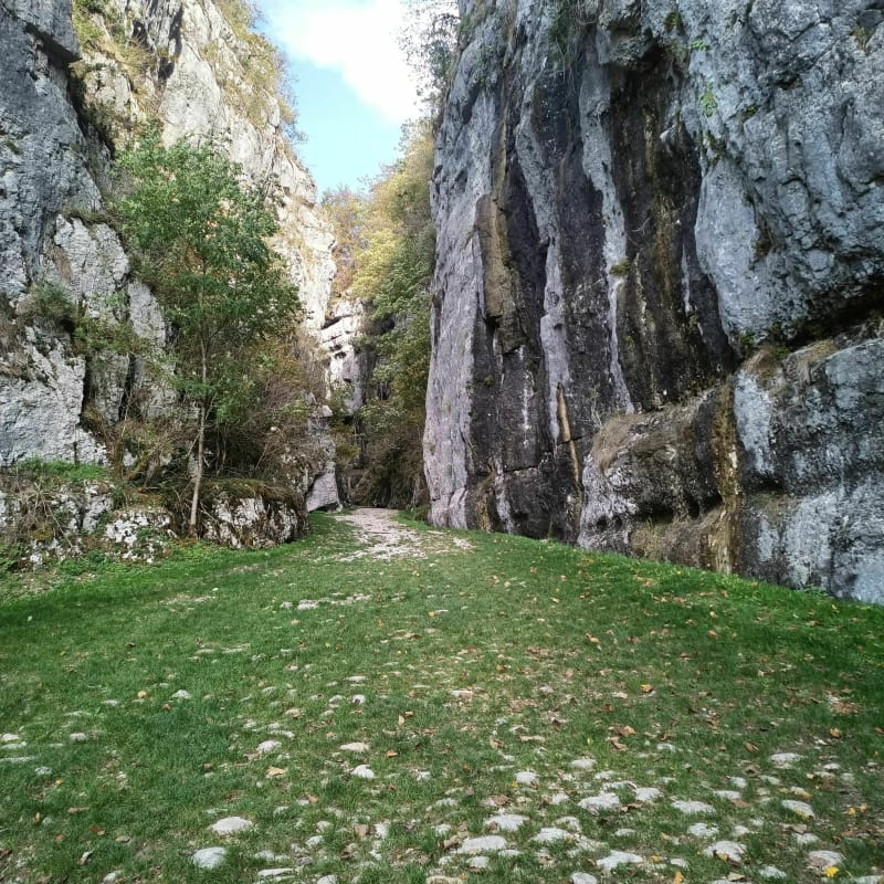 Petit tour dans le Parc Régional de la Chartreuse - Chambéry