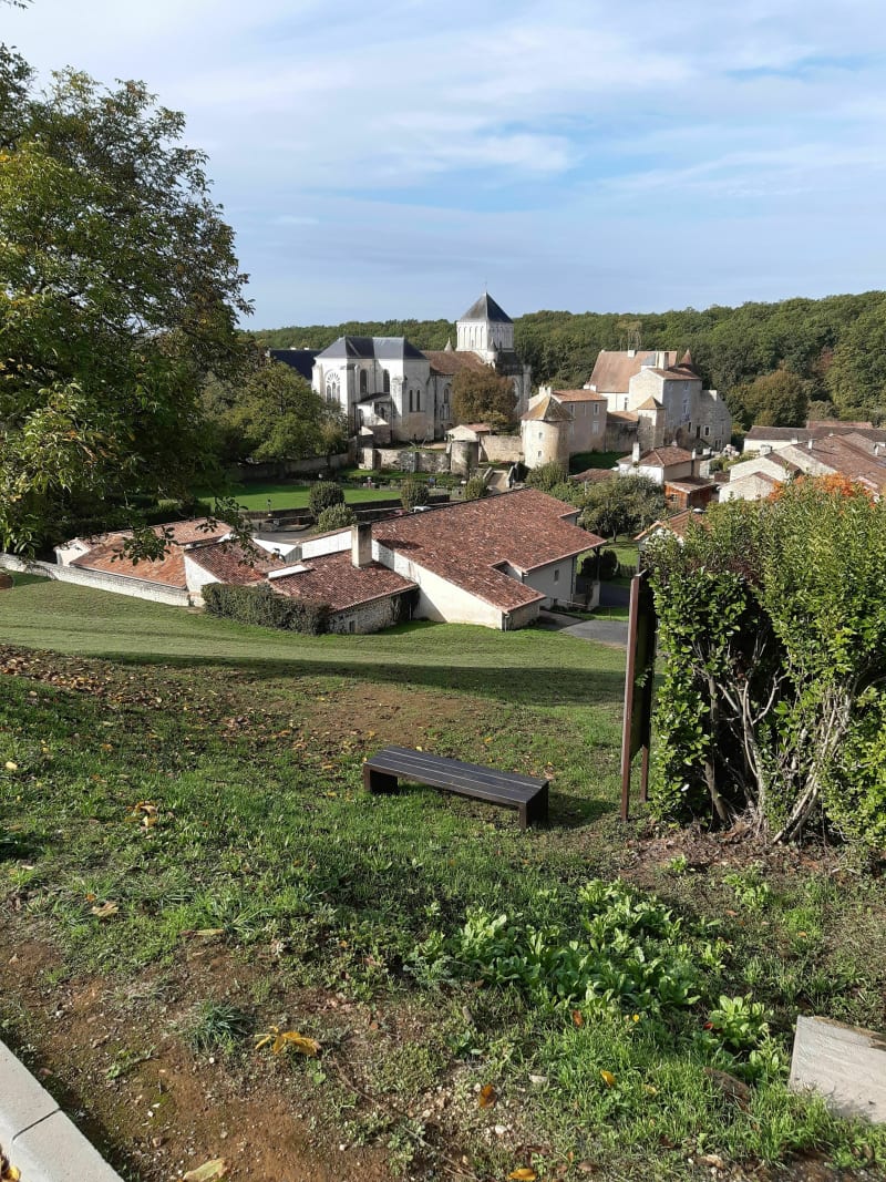 Balade entre les bordés et Nouaillé Maupertuis - Nouaillé-Maupertuis