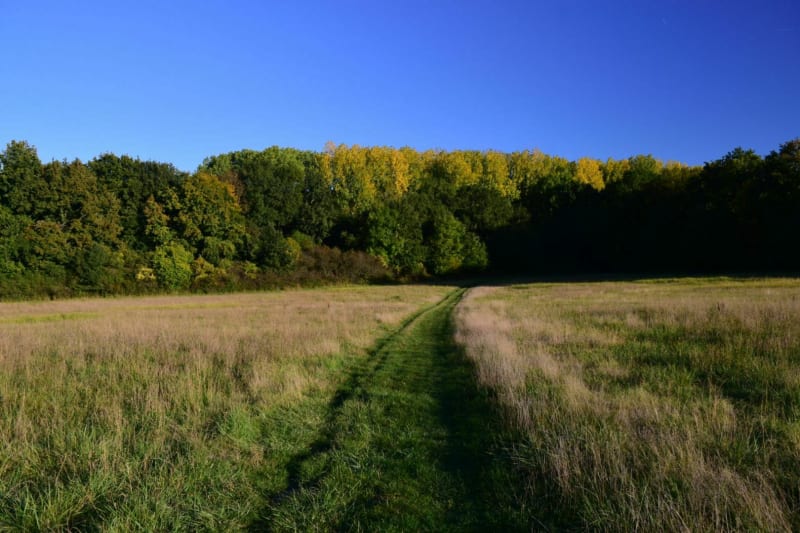 Le Bois de Saint-Laurent à Moussy-le-Neuf rando - Moussy-le-Neuf