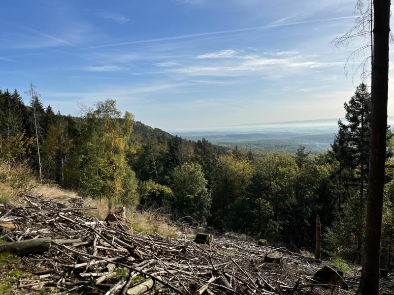 Col du Wiep depuis Mitschdorf - Gœrsdorf