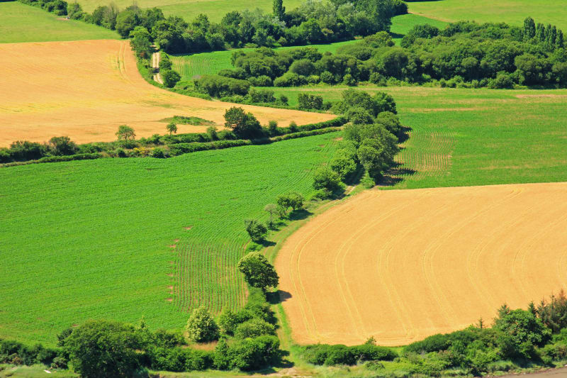 Petite balade à travers champ à Courenc - Beaux